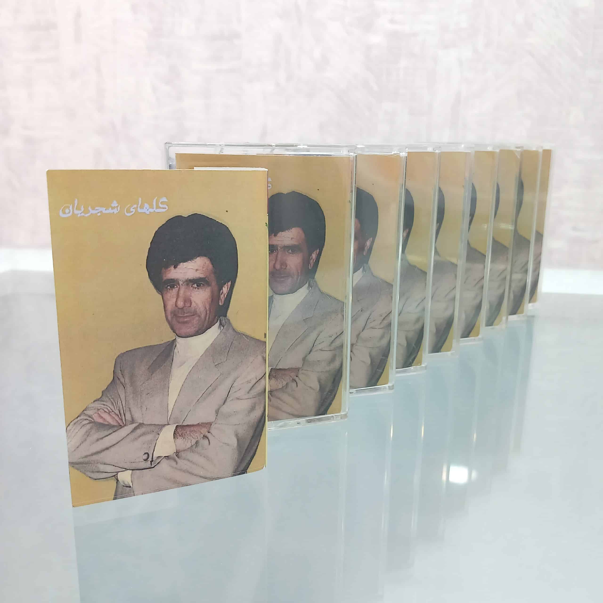 سری 10 کاست برگ سبز با اجرای استاد شجریان